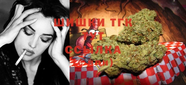 СК Осинники