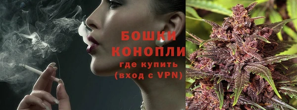 СК Осинники