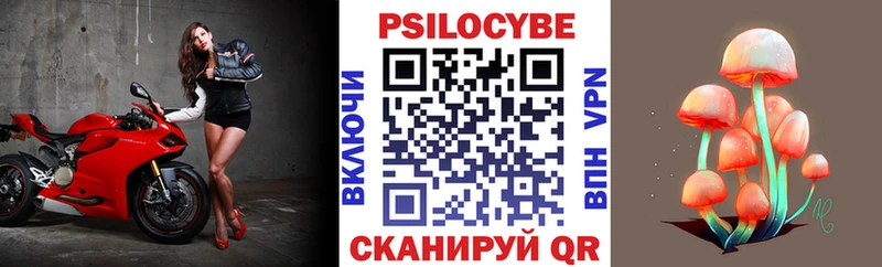кракен как зайти  Гурьевск  Галлюциногенные грибы GOLDEN TEACHER 