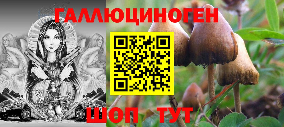Псилоцибиновые грибы Cubensis  Вход с VPN  Псилоцибиновые грибы мицелий  Гурьевск 