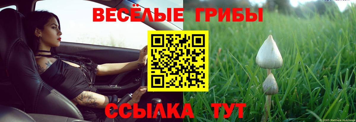 Галлюциногенные грибы прущие грибы Гурьевск